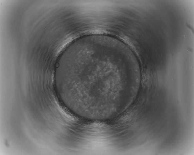 X0000102230063200808151739