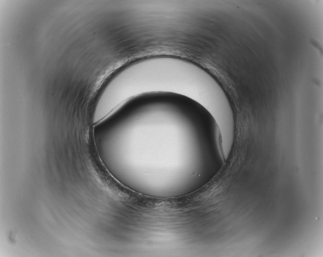 X0000102230064200808151739