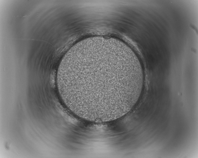 X0000102230065200808151739