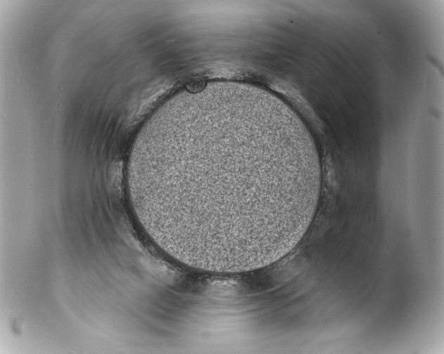 X0000102230066200808151740