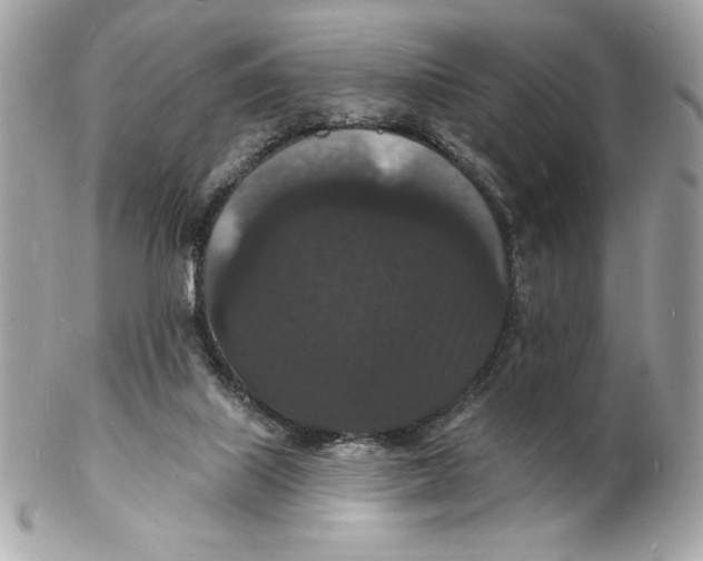 X0000102230067200808151740