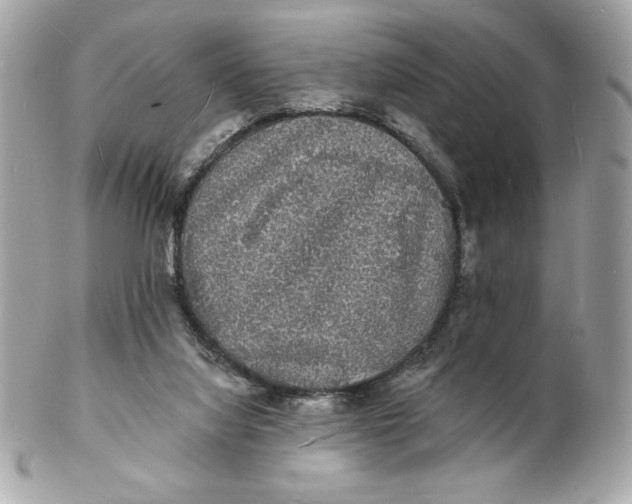 X0000102230068200808151740