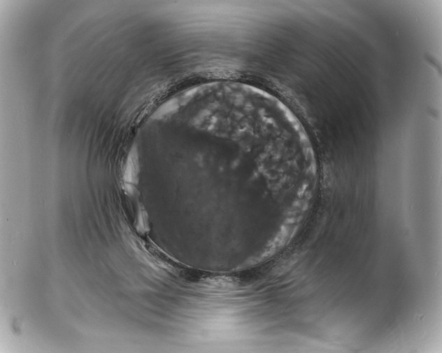 X0000102230069200808151740
