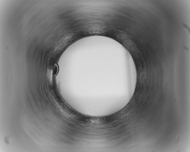 X0000102230070200808151740