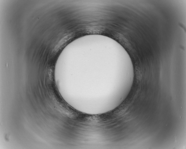 X0000102230071200808151740