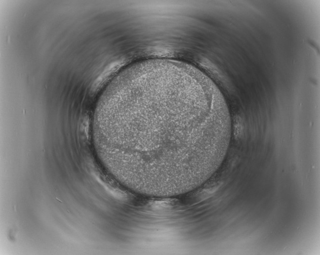 X0000102230072200808151740