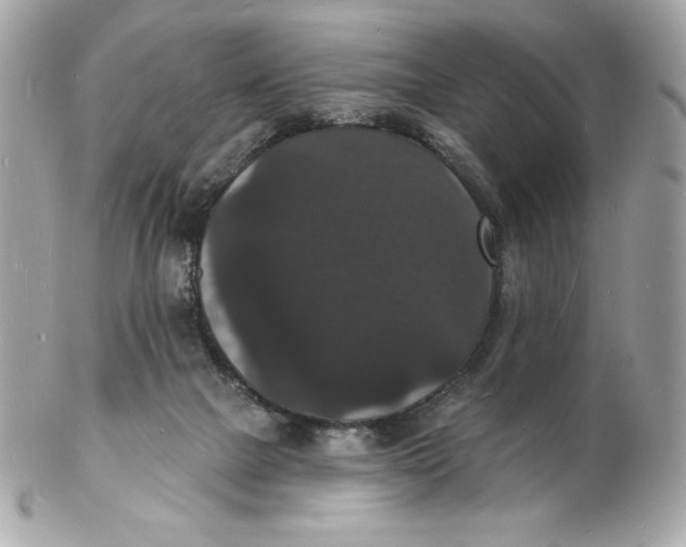 X0000102230073200808151740