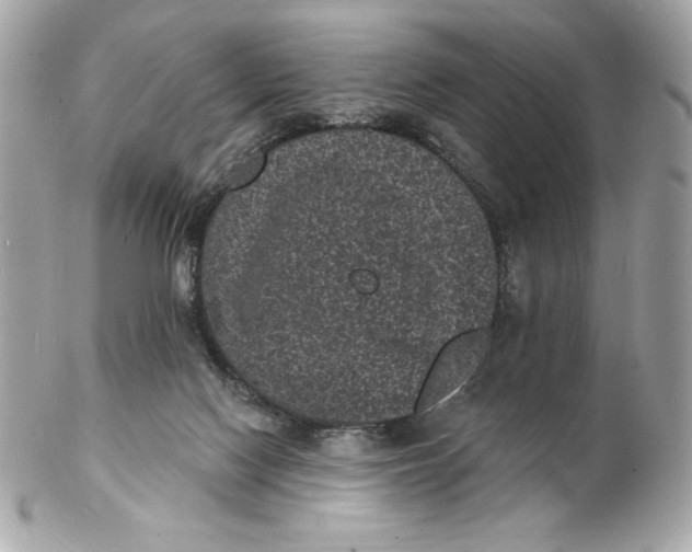 X0000102230074200808151740