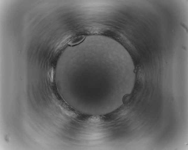 X0000102230076200808151740