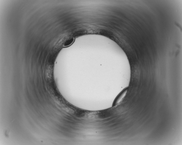 X0000102230078200808151740