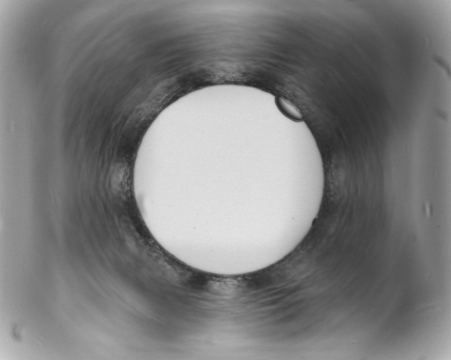 X0000102230079200808151740