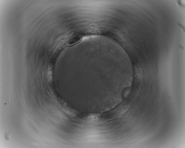 X0000102230080200808151740