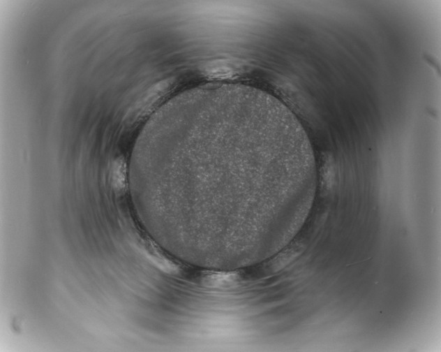 X0000102230081200808151740