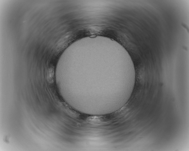 X0000102230082200808151740