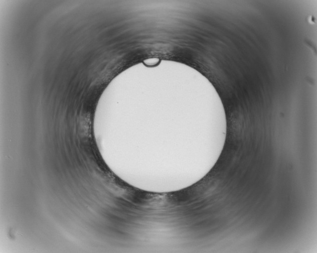 X0000102230083200808151740