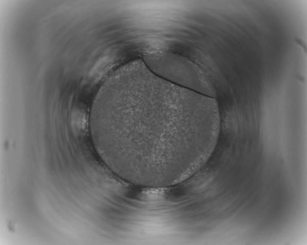 X0000102230084200808151740