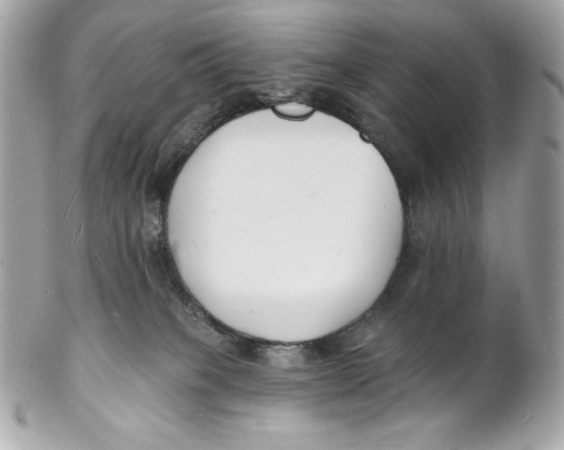 X0000102230085200808151740