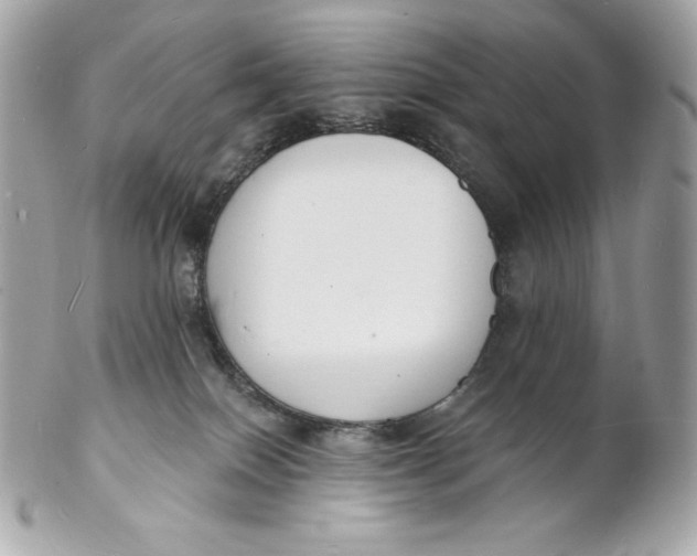 X0000102230086200808151740