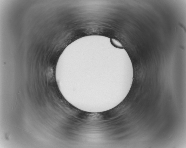 X0000102230087200808151740