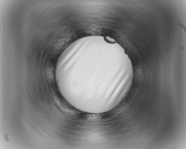 X0000102230088200808151740
