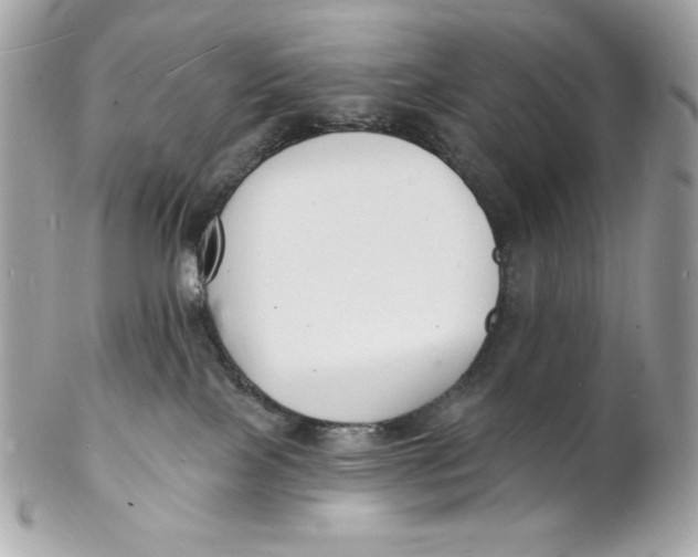 X0000102230089200808151740