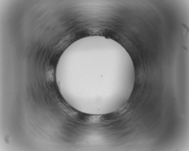 X0000102230090200808151740