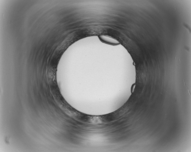 X0000102230091200808151740