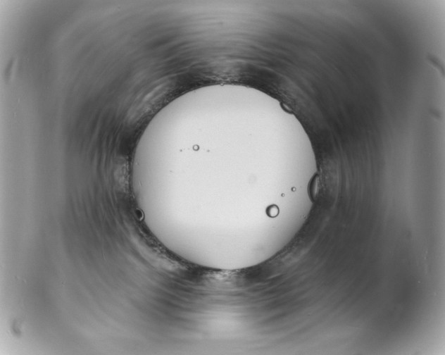 X0000102230092200808151740