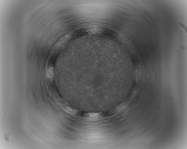 X0000102230093200808151740