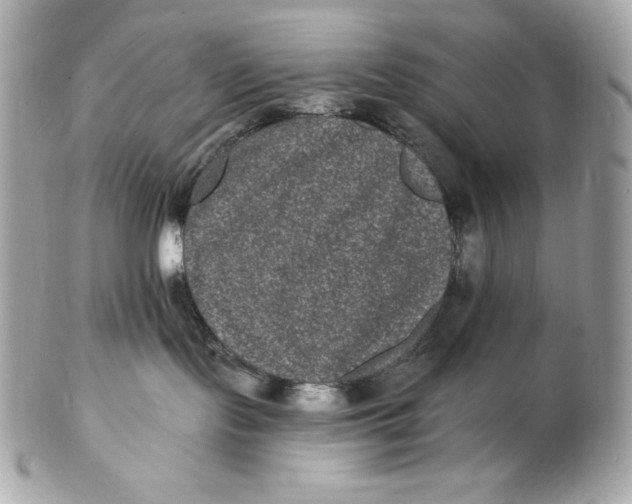 X0000102230095200808151740