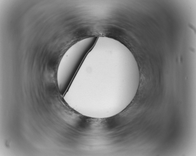 X0000102230096200808151740