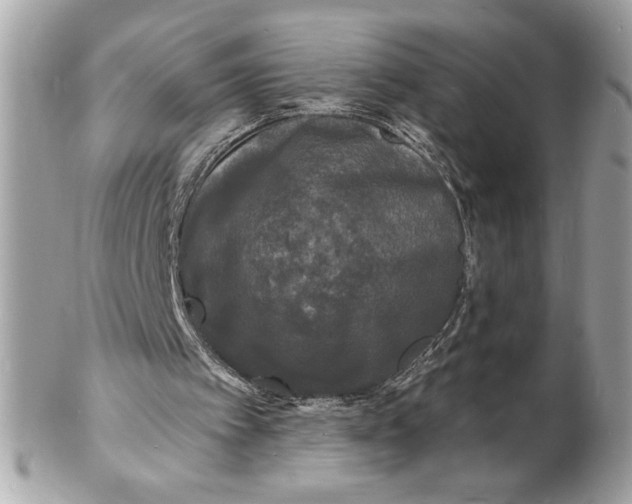 X0000102230097200808151739
