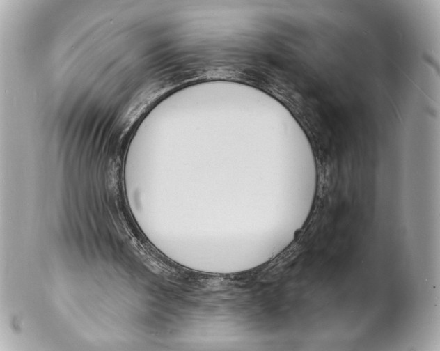 X0000102230098200808151739