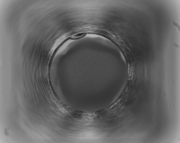 X0000102230099200808151739