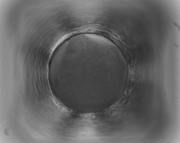 X0000102230100200808151739