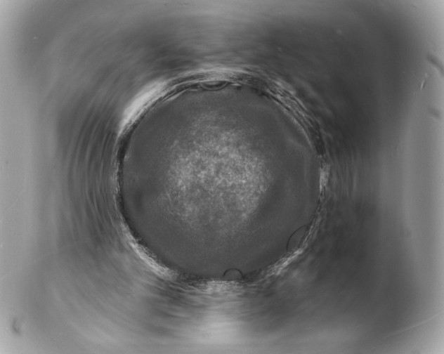 X0000102230101200808151739