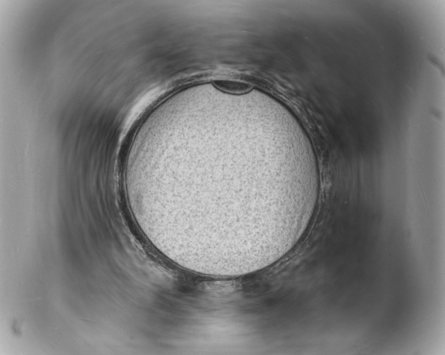 X0000102230102200808151739