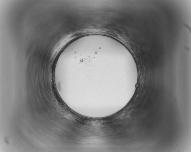X0000102230103200808151739