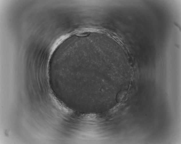 X0000102230104200808151739