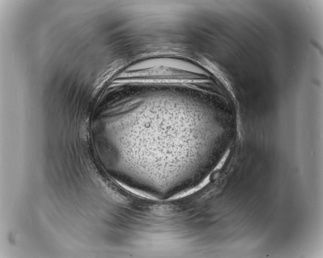 X0000102230105200808151739