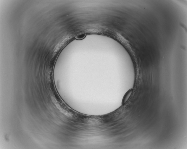 X0000102230106200808151739
