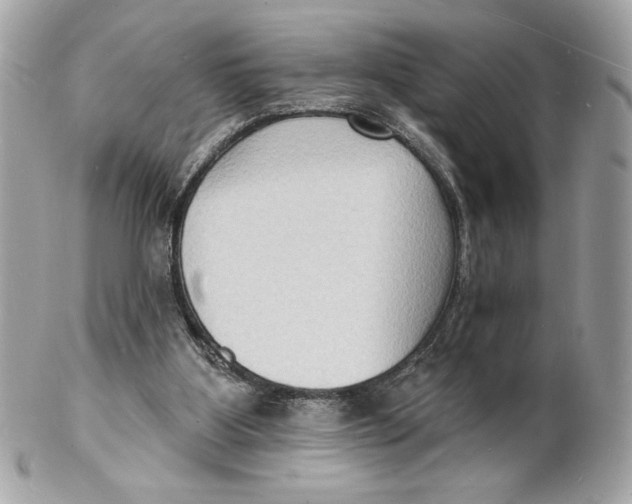 X0000102230107200808151739