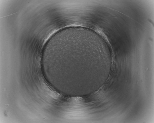 X0000102230108200808151739