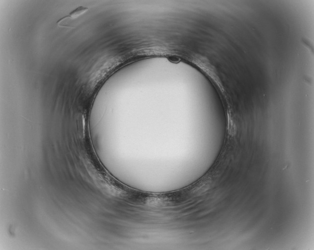 X0000102230109200808151739