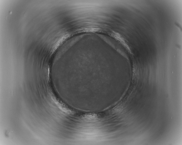 X0000102230110200808151739
