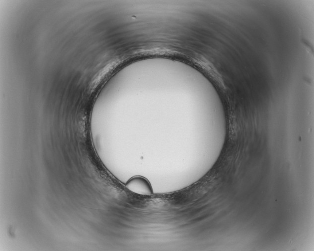 X0000102230111200808151739