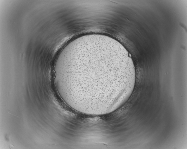 X0000102230112200808151739
