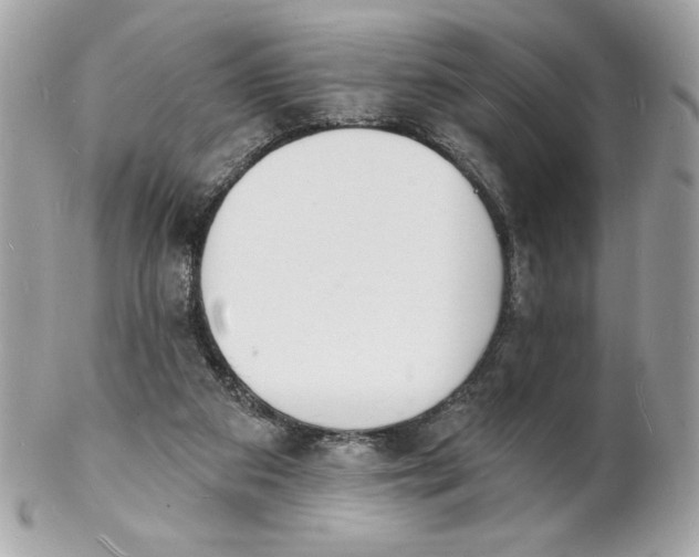 X0000102230113200808151739