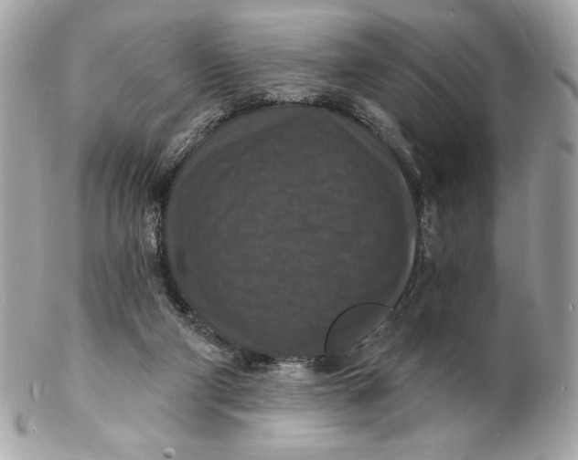X0000102230114200808151739