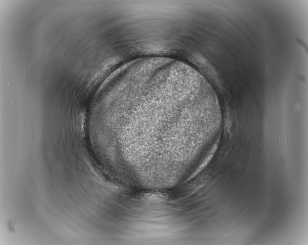 X0000102230115200808151739